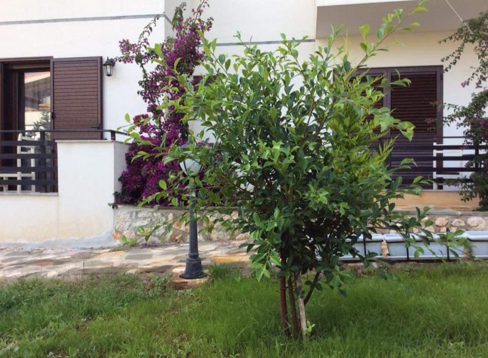 Hotel Natali Dhermi Exterior photo