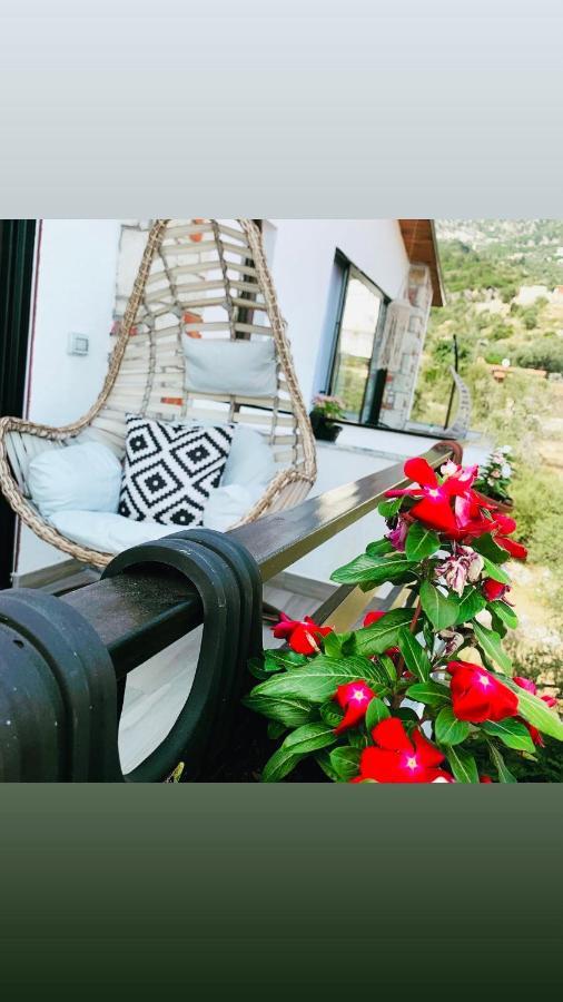 Hotel Natali Dhermi Exterior photo
